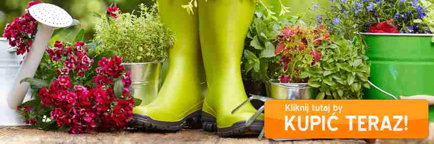 meble ogorodowe i inne